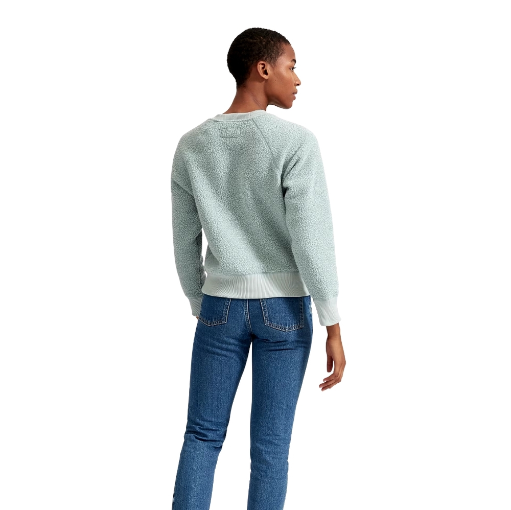 EVERLANE Renew Fleece Raglan Sweatshirt
🌟Host Pick🌟 - Picture 2 of 8